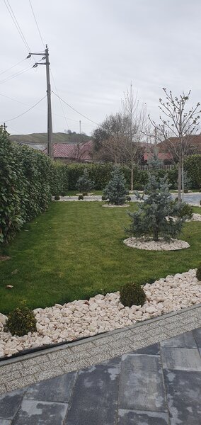 Amenajari curti gradini