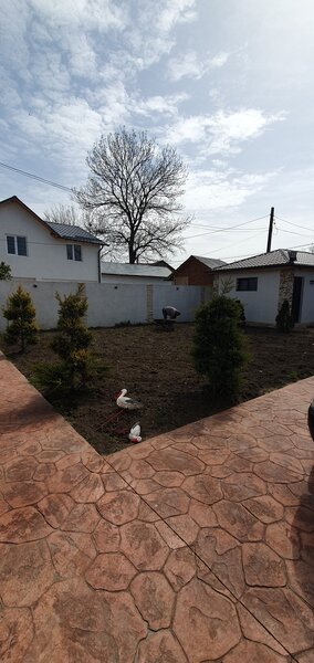 Amenajari curti gradini