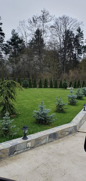 Amenajari curti gradini